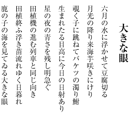 六月の水に浮かせて豆腐切る 月光の降り来海芋咲きにけり 覗く子に跳ねてバケツの濁り鮒 生まれたる目高に今日の日射あり 星の夜の青さを残し明急ぐ 田植機の進む列車と同じ向き 田植終ふ浮き苗流れゆく日暮れ 鹿の子の海を見てゐる大きな眼