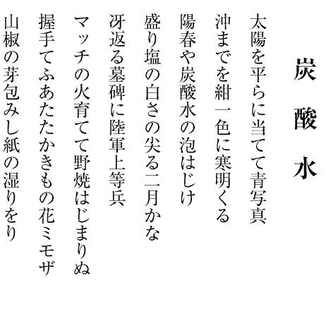 刈株の弾力を踏む冬田かな
目論見の外れてゐたり返り花
河原石白く乾いて十二月
枯菊を束ねし紐の蝶結び
うしろより手の出て日記買ひにけり
爪先に力入れたる冬至かな
クリスマス子どもの文字の募金箱
洗濯の泡をゆたかに年の暮
