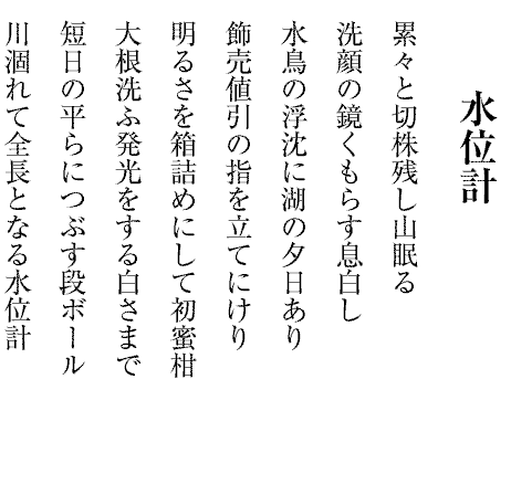 水位計
累々と切株残し山眠る
洗顔の鏡くもらす息白し
水鳥の浮沈に湖の夕日あり
飾売値引の指を立てにけり
明るさを箱詰めにして初蜜柑
大根洗ふ発光をする白さまで
短日の平らにつぶす段ボール
川涸れて全長となる水位計
