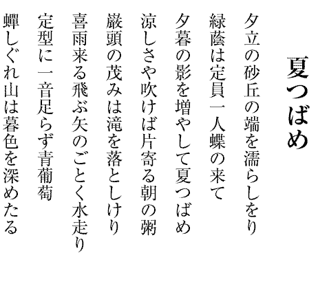 夏つばめ
夕立の砂丘の端を濡らしをり
緑蔭は定員一人蝶の来て
夕暮の影を増やして夏つばめ
涼しさや吹けば片寄る朝の粥
巌頭の茂みは滝を落としけり
喜雨来る飛ぶ矢のごとく水走り
定型に一音足らず青葡萄
蟬しぐれ山は暮色を深めたる
