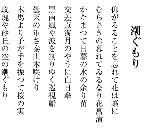 潮ぐもり
仰がるることを忘れて花は葉に
むらさきの暮れてゐるなり花菖蒲
かたまつて日暮の水の余り苗
交差点海月のやうに白日傘
黒南風や波を割りゆく巡視船
曇天の重さ泰山木咲けり
木馬より子が手を振つて桜の実
玫瑰や砂丘の空の潮ぐもり
