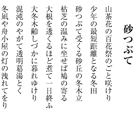 砂つぶて
山茶花の百花祭のごと咲けり
少年の最短距離となる冬田
砂つぶて受くる砂丘の冬木立
枯芝の温みに坐せば鳩の寄る
大根を透くるほど煮て一日終ふ
大冬木齢しづかに暮れゆけり
混沌のやがて透明葛湯とく
冬凪や舟小屋の灯の洩れてをり
